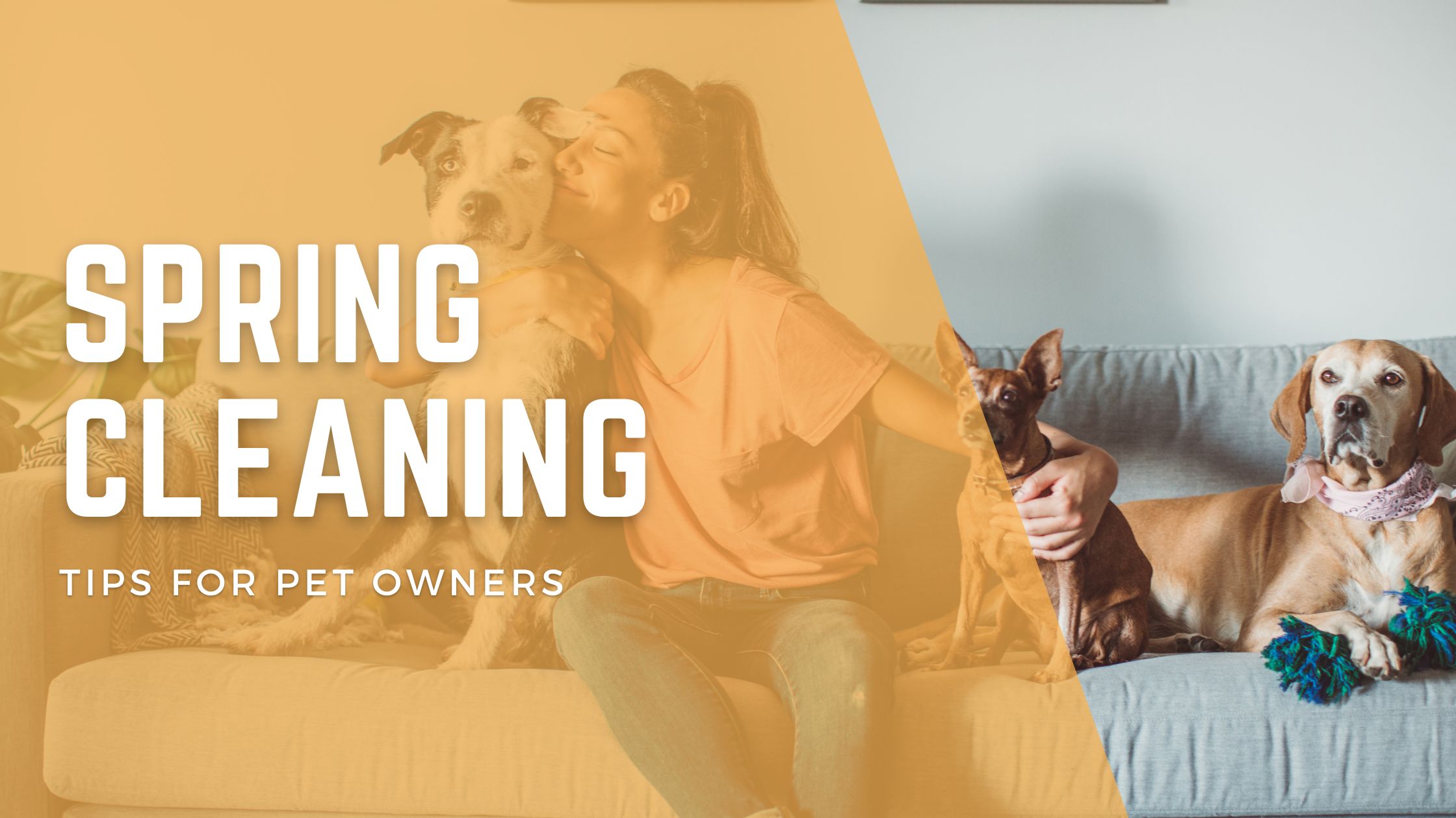 Spring Cleaning Tips for Pet Owners - Keeping A Clean Home