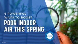 6 Powerful Ways to Boost Poor Indoor Air This Spring